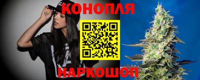 спиды Можга
