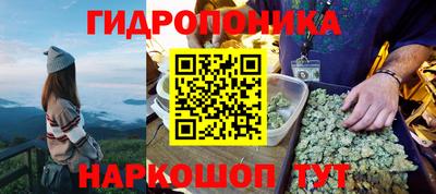 спиды Можга